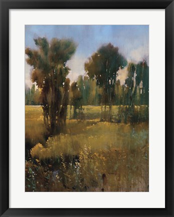 Framed Sunkissed Field II Print