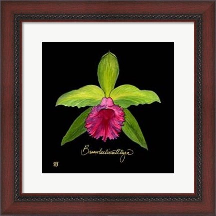 Framed Vivid Orchid I Print