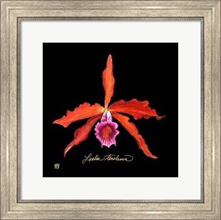 Framed Vivid Orchid II Print