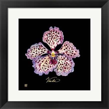 Framed Vivid Orchid V Print