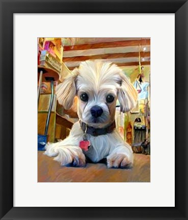 Framed Mazel Dog Print