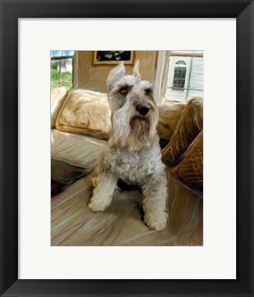 Framed Schnauzer Print