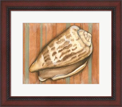 Framed Shell on Stripes III - light Print