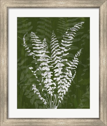Framed Jewel Ferns I Print