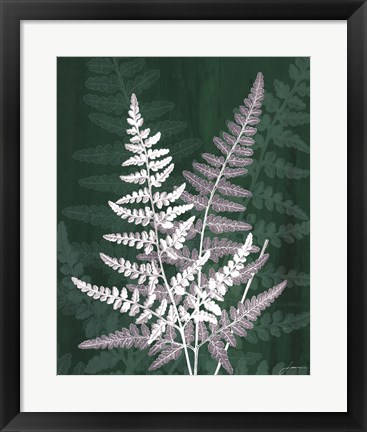 Framed Jewel Ferns IV Print