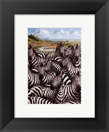 Framed Zebra Gathering Print