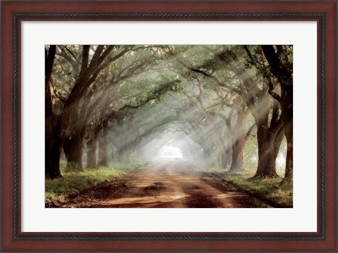 Framed Evergreen Plantation A Print