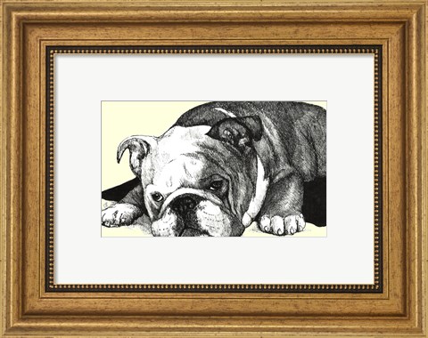 Framed Gracie the Bulldog Print