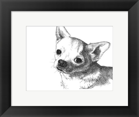 Framed Bruiser the Chihuahua Print