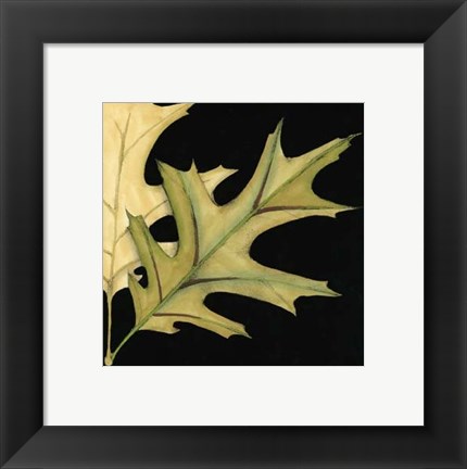 Framed Small Tandem Leaves III (P) Print