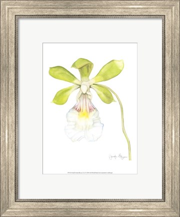 Framed Small Orchid Beauty I (U) Print