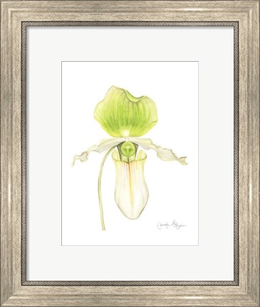 Framed Small Orchid Beauty IV (U) Print