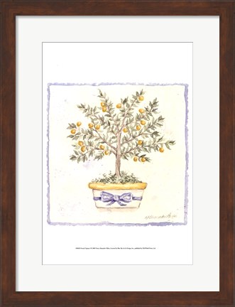 Framed French Topiary I Print