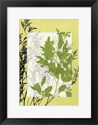 Framed Sm Translucent Wildflowers IV Print