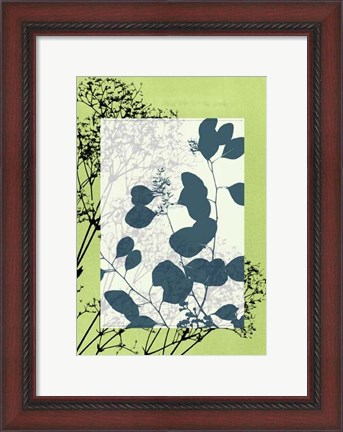 Framed Sm Translucent Wildflowers VIII Print