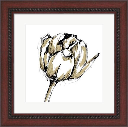 Framed Small Tulip Sketch II Print