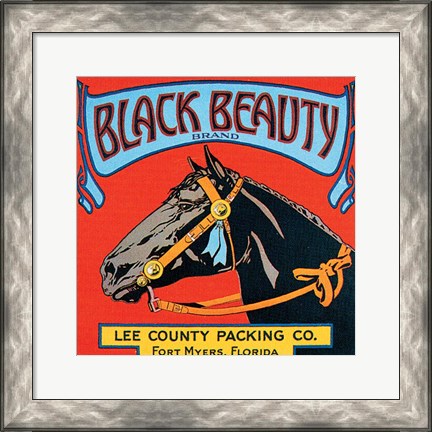 Framed Black Beauty Print