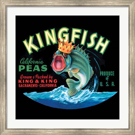 Framed Kingfish Print