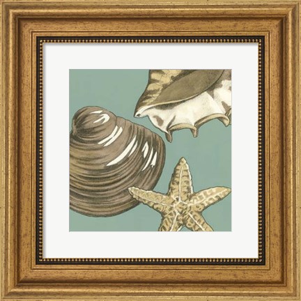 Framed Small Shell Trio on Blue IV (P) Print