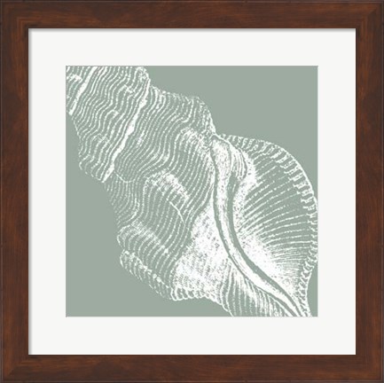 Framed Seabreeze Shells III (P) Print