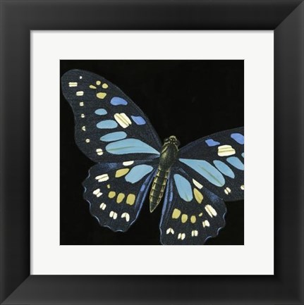Framed Small Dramatic Butterflies II Print