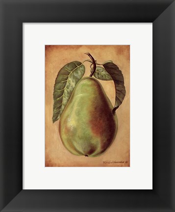 Framed Williams Pear Print