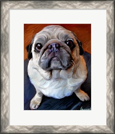 Framed Pug on a Rug Print