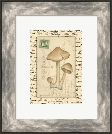 Framed Mushrooms I Print