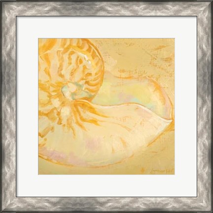 Framed Shoreline Shells I Print