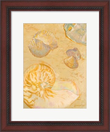 Framed Shoreline Shells VI Print