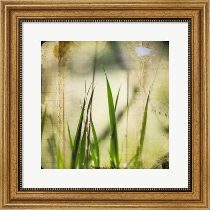 Framed Green II Print