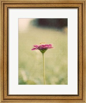 Framed Flower Portrait I Print