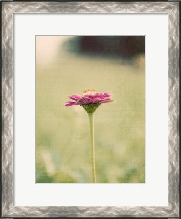 Framed Flower Portrait I Print