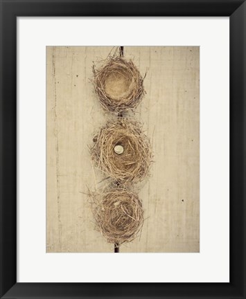 Framed Nesting II Print