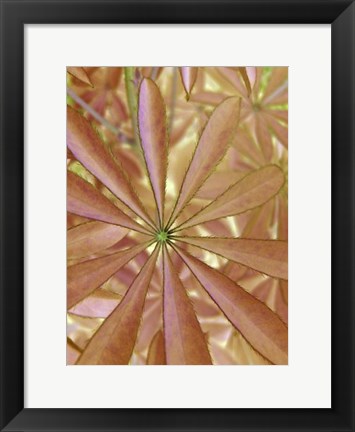 Framed Woodland Plants in Red II Print