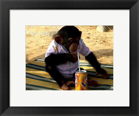 Framed Chimp - Time for a drink Print