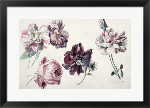 Framed Roses Print