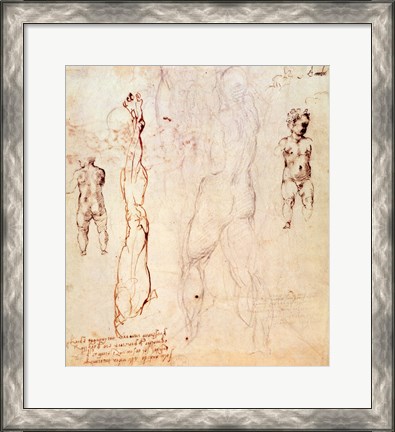 Framed Anatomical drawings with accompanying notes Print