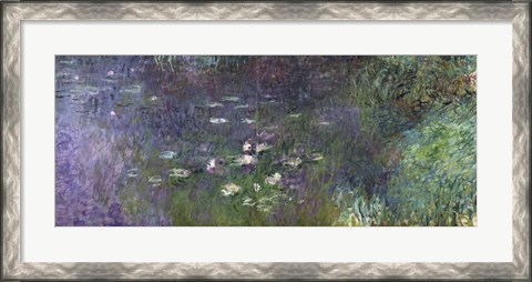 Framed Waterlilies: Morning, 1914-18 (right section) Print