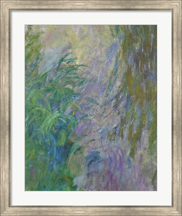 Framed Waterlilies (green &amp; purple) Print