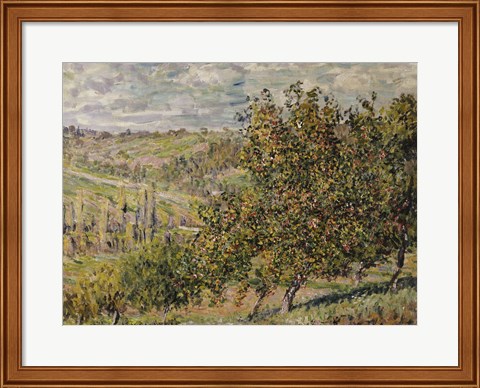 Framed Apple Blossom Print