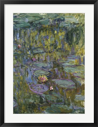 Framed Waterlilies (dark green) Print