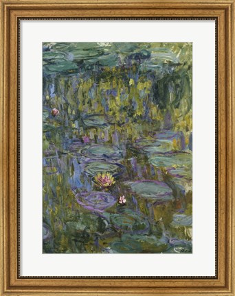 Framed Waterlilies (dark green) Print