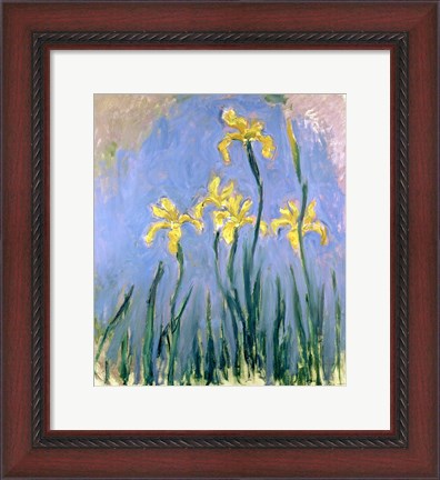 Framed Yellow Irises, c.1918-25 Print