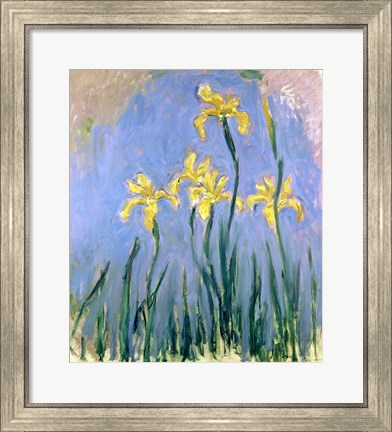 Framed Yellow Irises, c.1918-25 Print