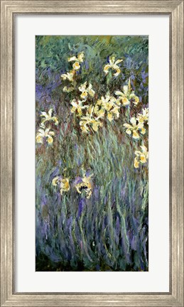 Framed Yellow Irises Print