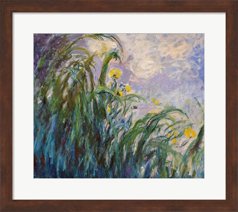 Framed Yellow Iris Print