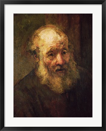 Framed Head of an Old Man, c.1650 Print