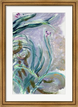 Framed Iris (gray) Print