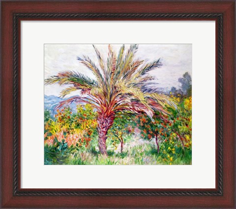 Framed Palm Tree at Bordighera Print